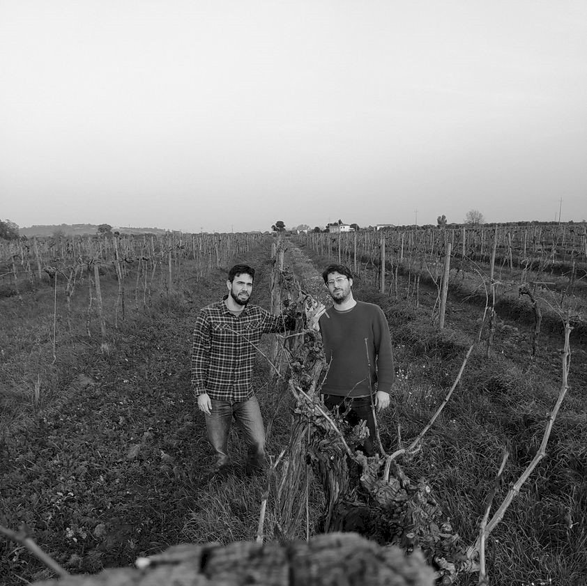 la cena agricola da Vinificio - le formiche