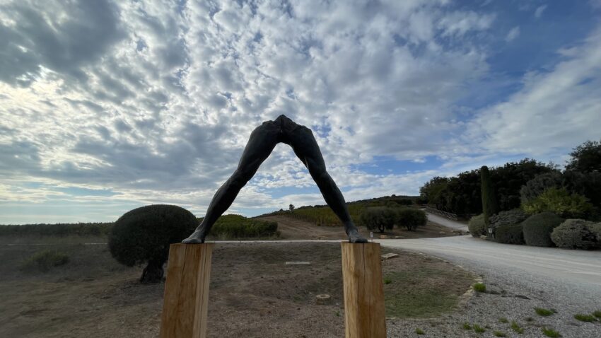 Cantina Monteverro - arte e vino a Capalbio