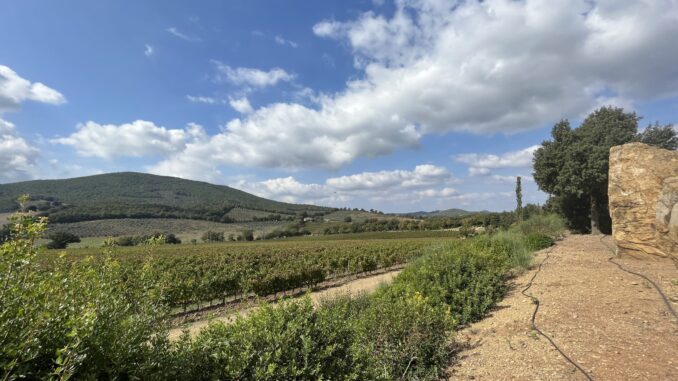 Cantina Monteti
