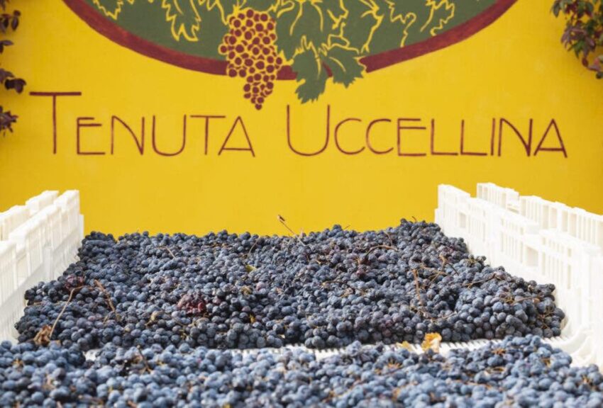 tenuta uccellina - weekend in provincia di Ravenna 