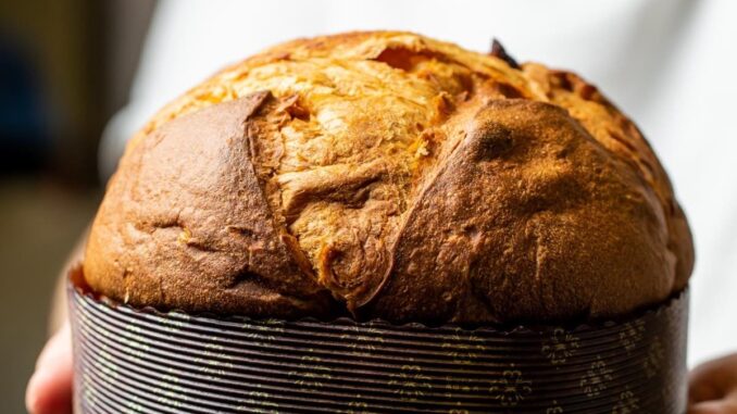 dove comprare il panettone artigianale a Firenze Natale 2023 - antico caffè Torino