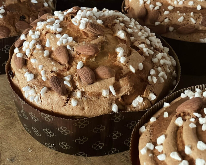 La Vecchia Scuola - dove comprare il panettone artigianale a Bologna Natale 2023