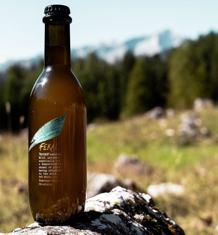 Feral drink no/lo Bologna