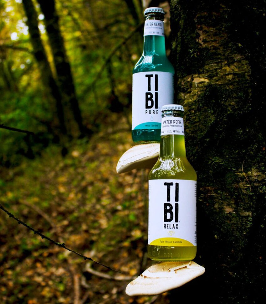 Tibi fiera no/lo Bologna