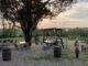 agripub Roma Agricoltura Nuova