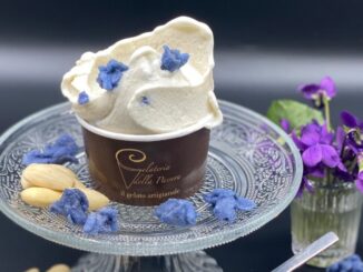 gelateria della passera firenze