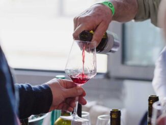 vini selvaggi 2024 a roma