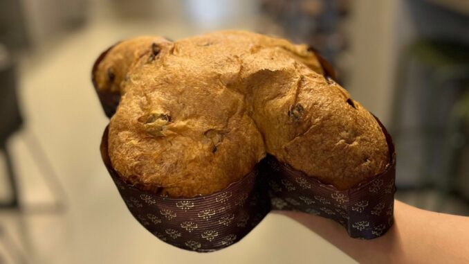 La colomba salata di Casa Manfredi a Roma per Pasqua 2024