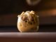 carbonara classica Eggs