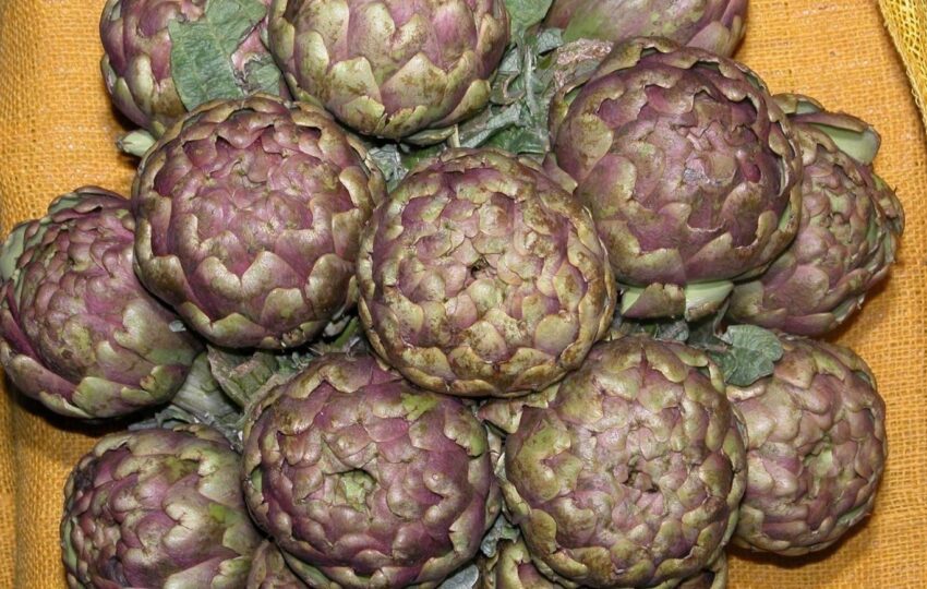 cosa fare a roma aprile 2024, il festival del carciofo romanesco
