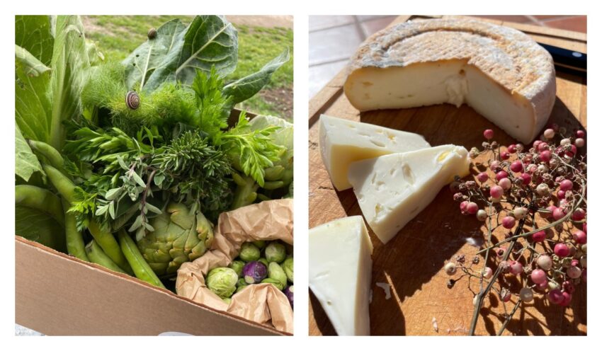 cena agricola da vinificio - le vergarette