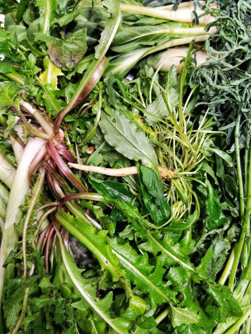 Le verdure "dimenticate" in menu da Scima