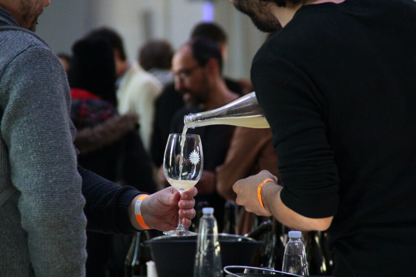 cosa fare a roma marzo 2025, vini selvaggi