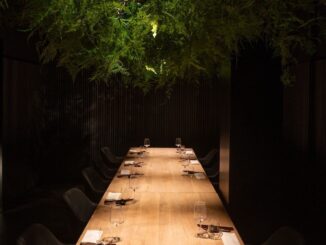 sala kiwami per nomimoto roma sake club