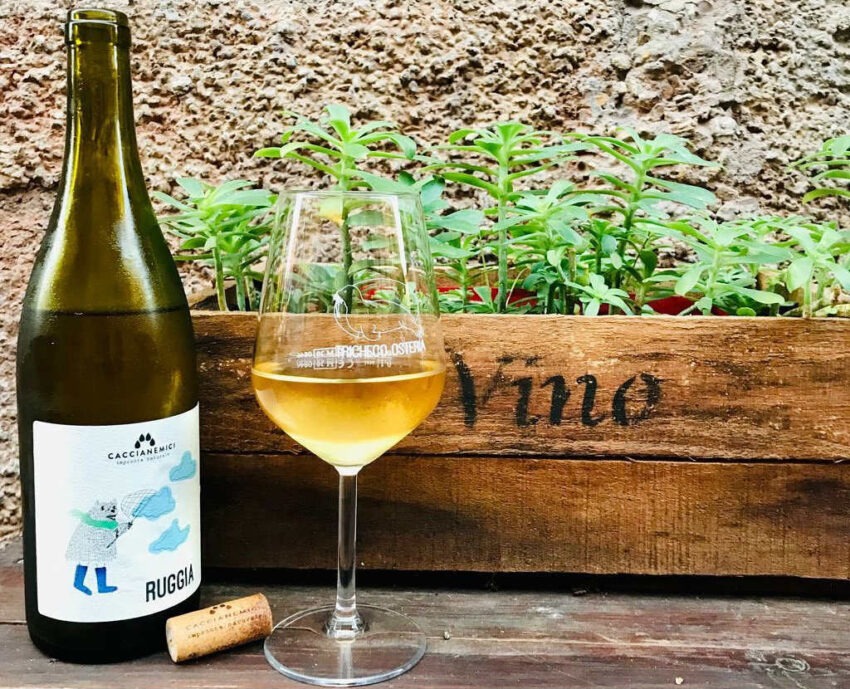 tricheco vineria bologna
