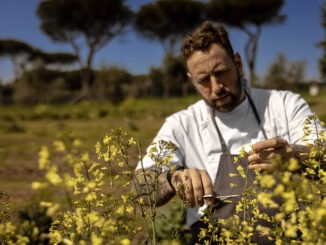 leonardo malgarini