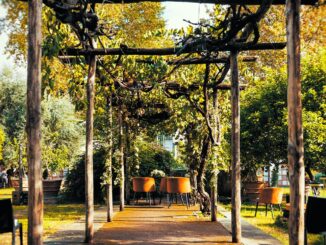 elettrogusto, cosa fare a roma maggio 2025