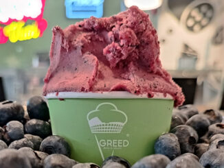greed avidi di gelato frascati
