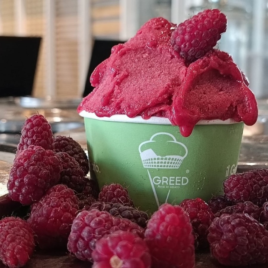 greed avidi di gelato frascati