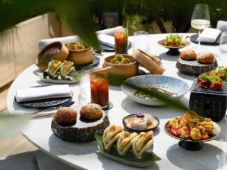 brunch roma 2025 - yezi