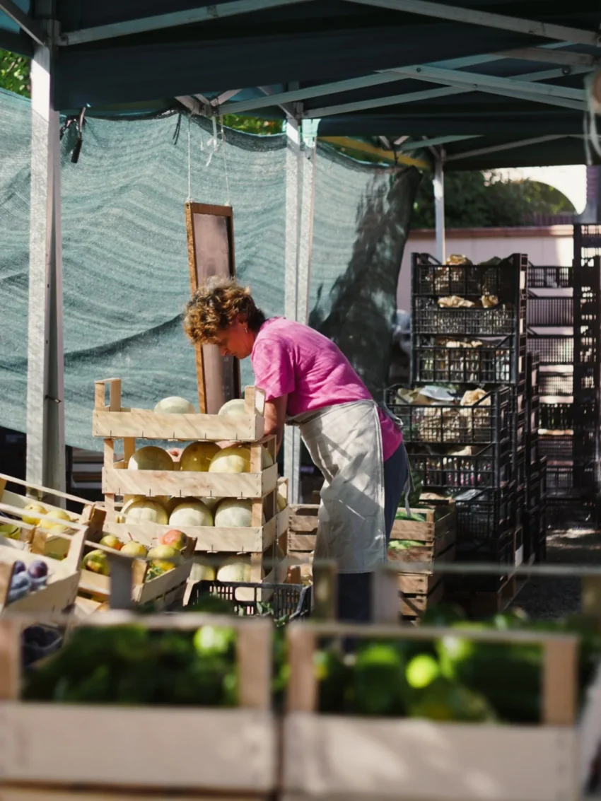Mercato ritrovato bologna