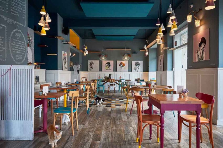 gli interni di romeow cat bistrot