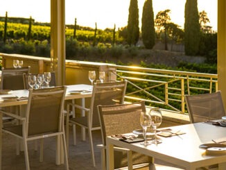 mangiare vigneti castelli roma