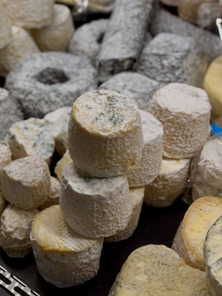 Cosa comprare a Roma per Pasqua 2026 - i formaggi da beppe e i suoi formaggi