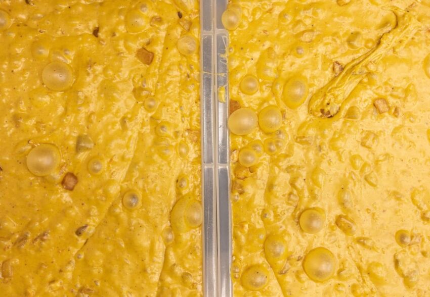colomba artigianale pasqua