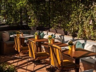 brunch all'aperto a roma - the hoxton