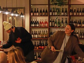enoteca semi di vino roma
